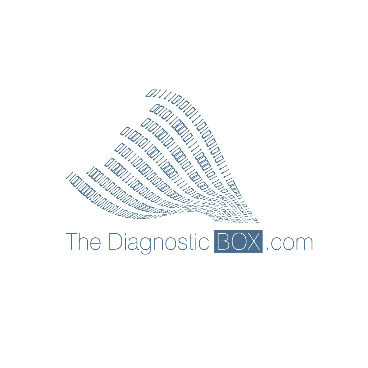 The Diagnostic Box — Michael Hyde - National Auto Lock Service